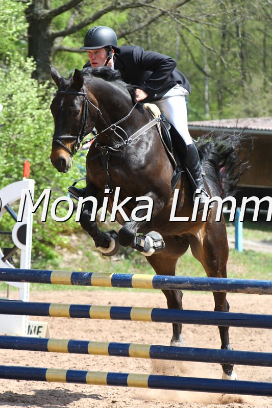 004M2154_Jasmin_Punkte L m. Joker.JPG